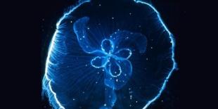 Bioloogia