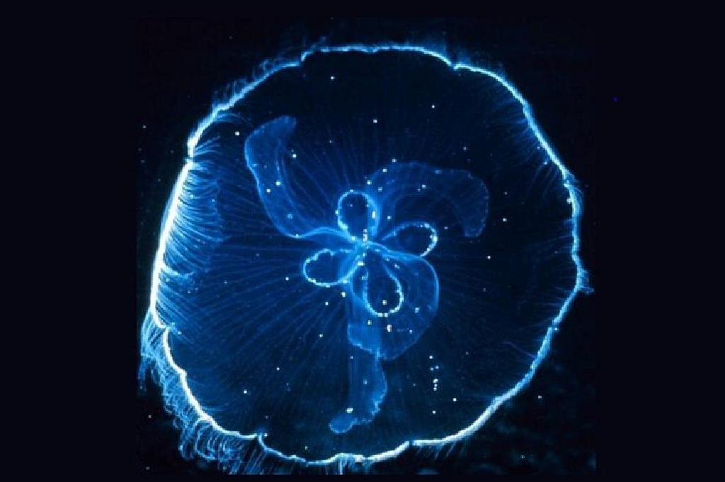 Bioloogia