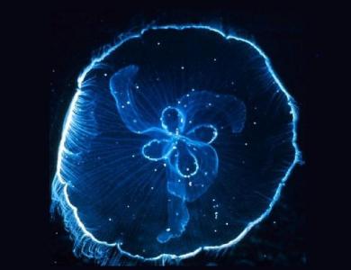 Bioloogia